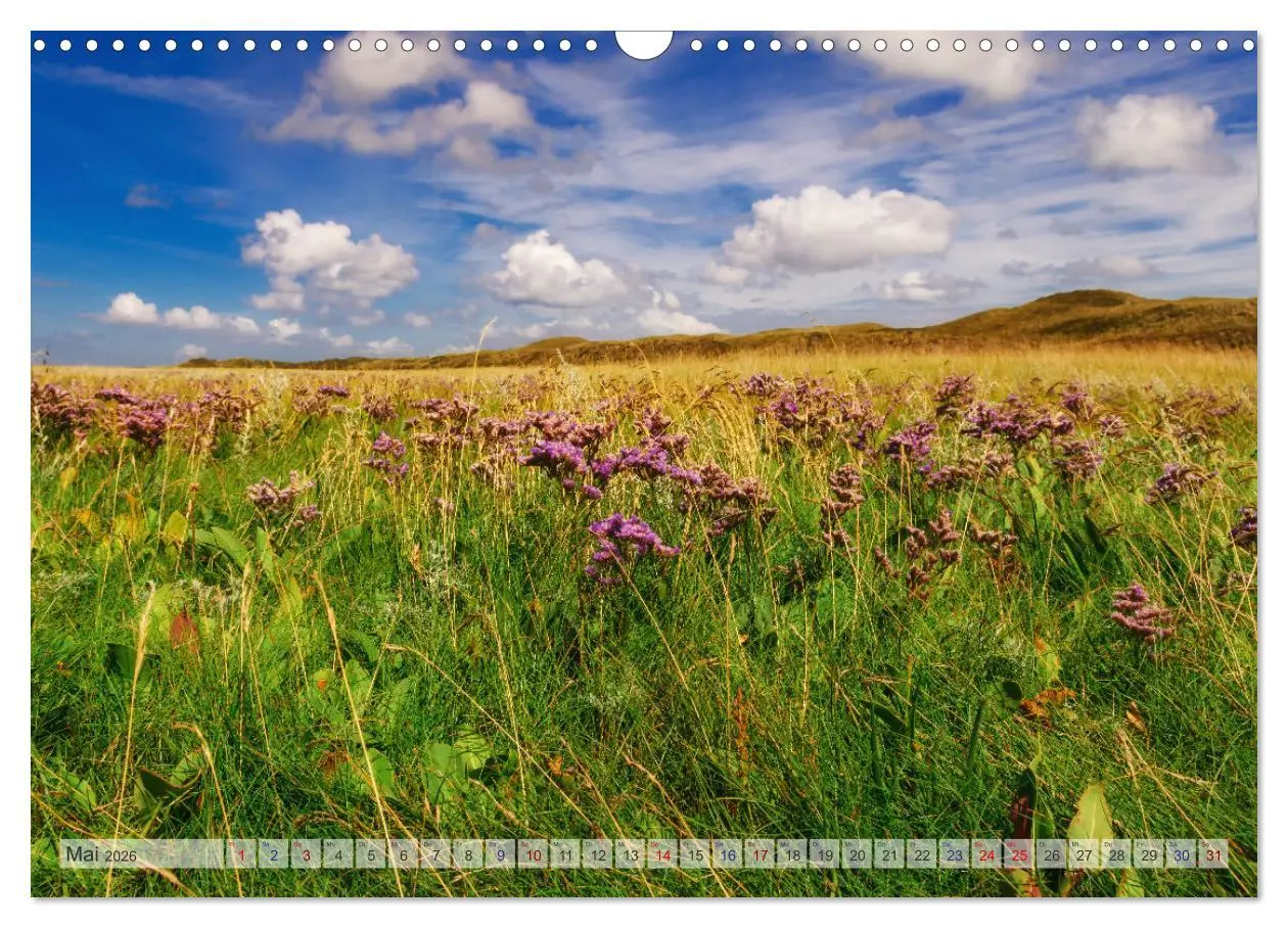 Bild: 9783457669686 | Texel - Kleine Insel, große Vielfalt (Wandkalender 2026 DIN A3...