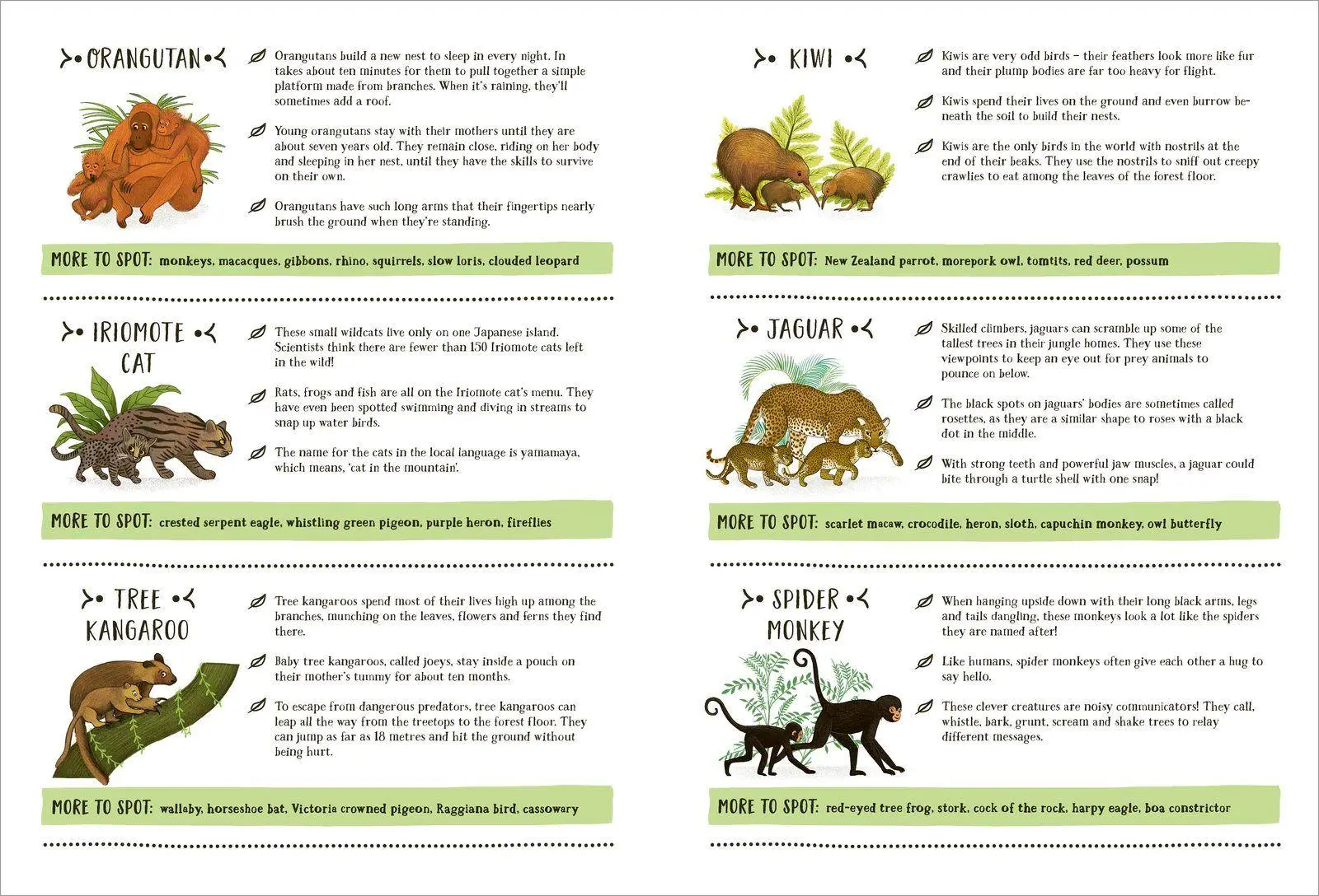 Bild: 9780702309786 | The Secret Jungle | Jessica Courtney-Tickle | Buch | Gebunden | 2022