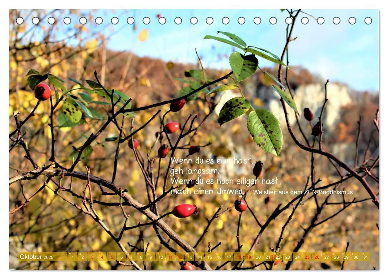 Bild: 9783435019786 | Beuroner Jakobsweg (Tischkalender 2025 DIN A5 quer), CALVENDO...