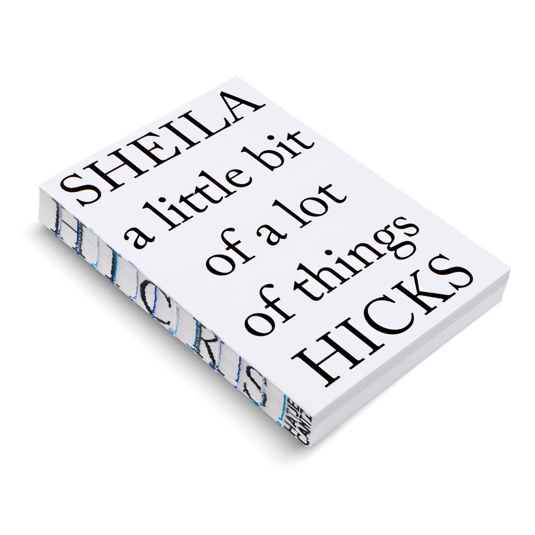Bild: 9783775759786 | Sheila Hicks - A Little Bit of a Lot of Things. Kunstbuch, textile...