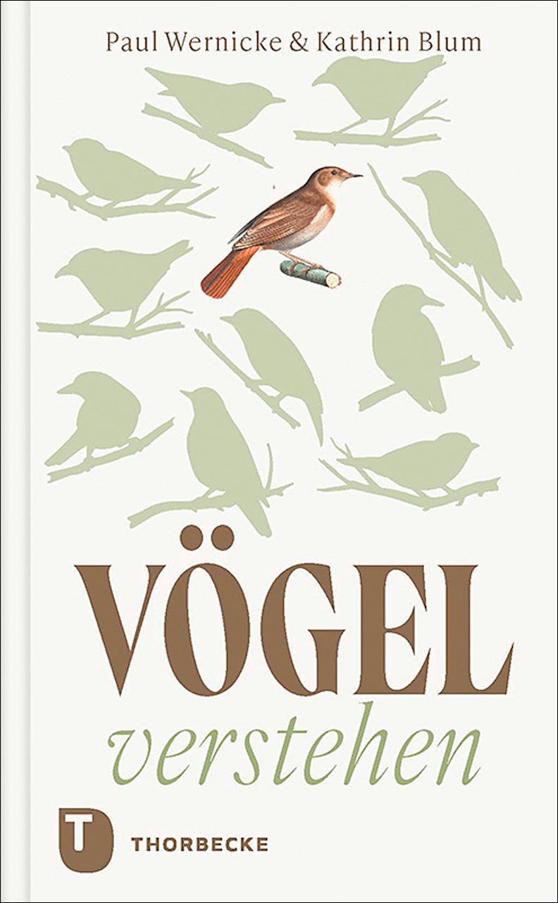 Cover: 9783799519786 | Vögel verstehen | Paul Wernicke (u. a.) | Buch | 172 S. | Deutsch