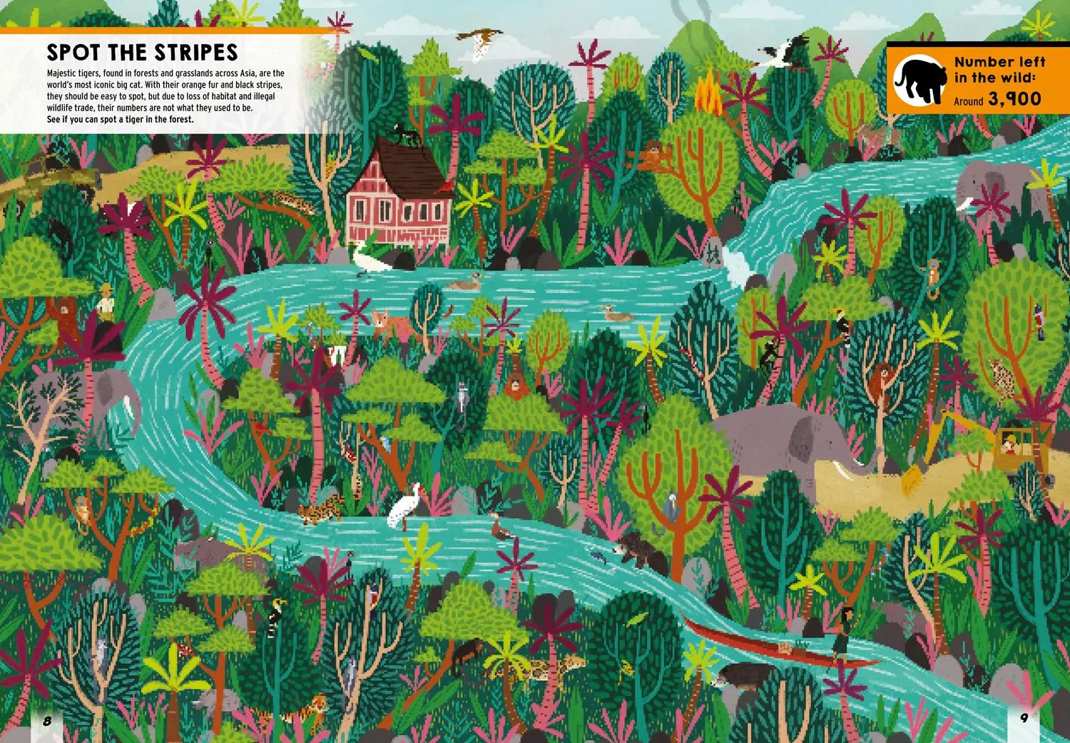 Bild: 9781405299886 | Where's the Tiger? | Search and Find Book | Farshore | Buch | Gebunden