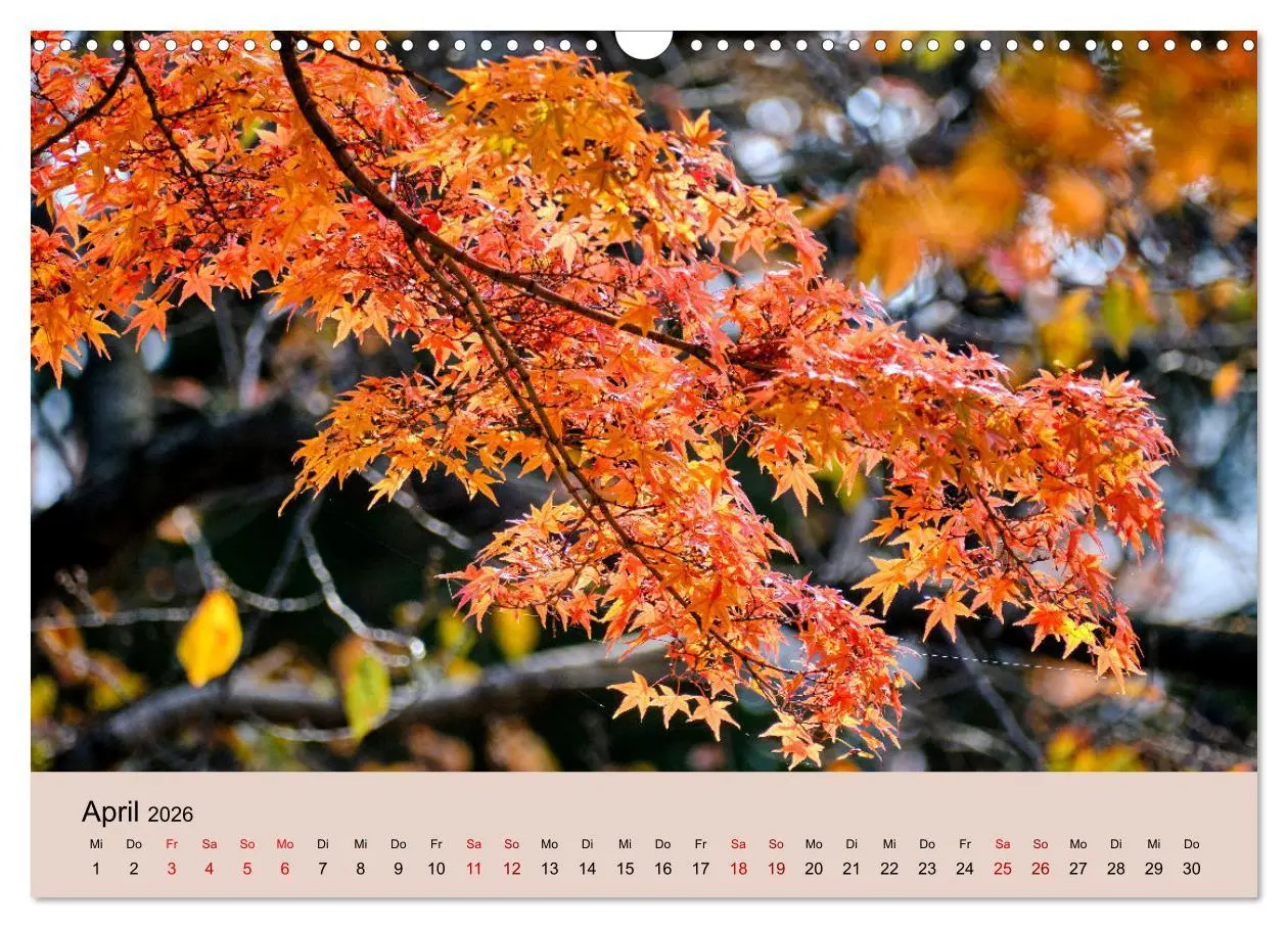 Bild: 9783457269886 | Japan im Herbst (Wandkalender 2026 DIN A3 quer), CALVENDO...