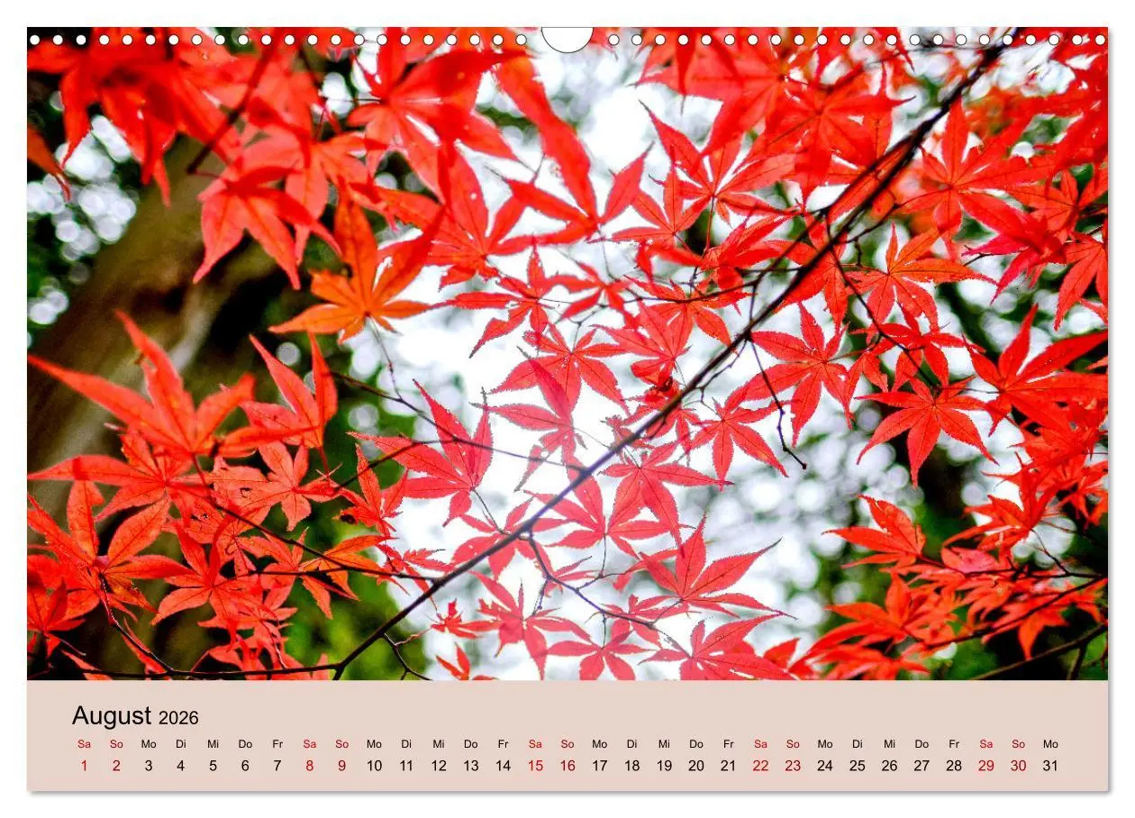 Bild: 9783457269886 | Japan im Herbst (Wandkalender 2026 DIN A3 quer), CALVENDO...