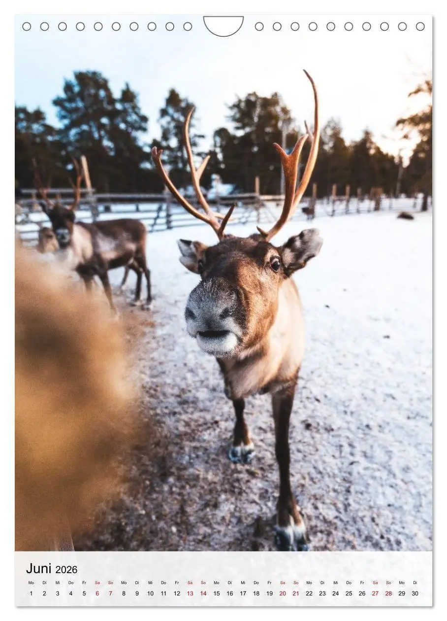 Bild: 9783516739886 | Finnland - Winter Wunderland (Wandkalender 2026 DIN A4 hoch),...