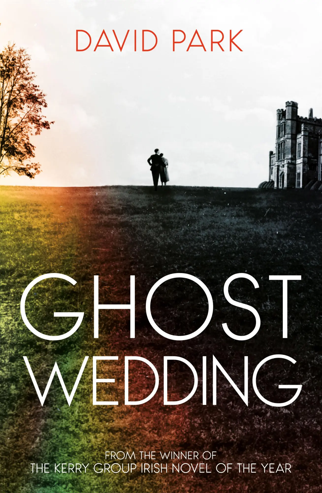 Cover: 9780861549986 | Ghost Wedding | David Park | Taschenbuch | Englisch | 2025