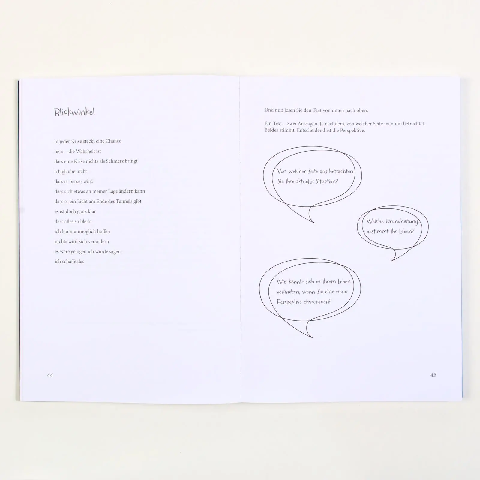 Bild: 9783621289986 | Ansichtssache - den Blickwinkel erweitern | Susanne Büscher | Buch
