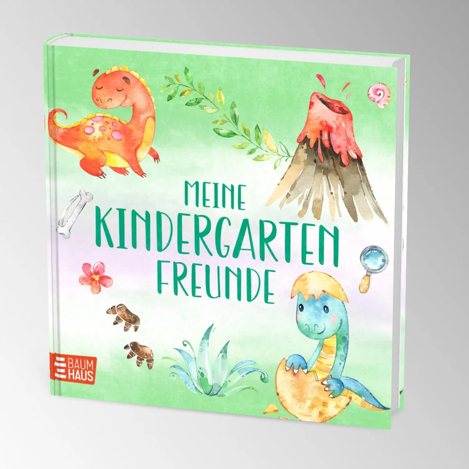Bild: 9783833909986 | Meine Kindergartenfreunde - Dinosaurier | Buch | 64 S. | Deutsch