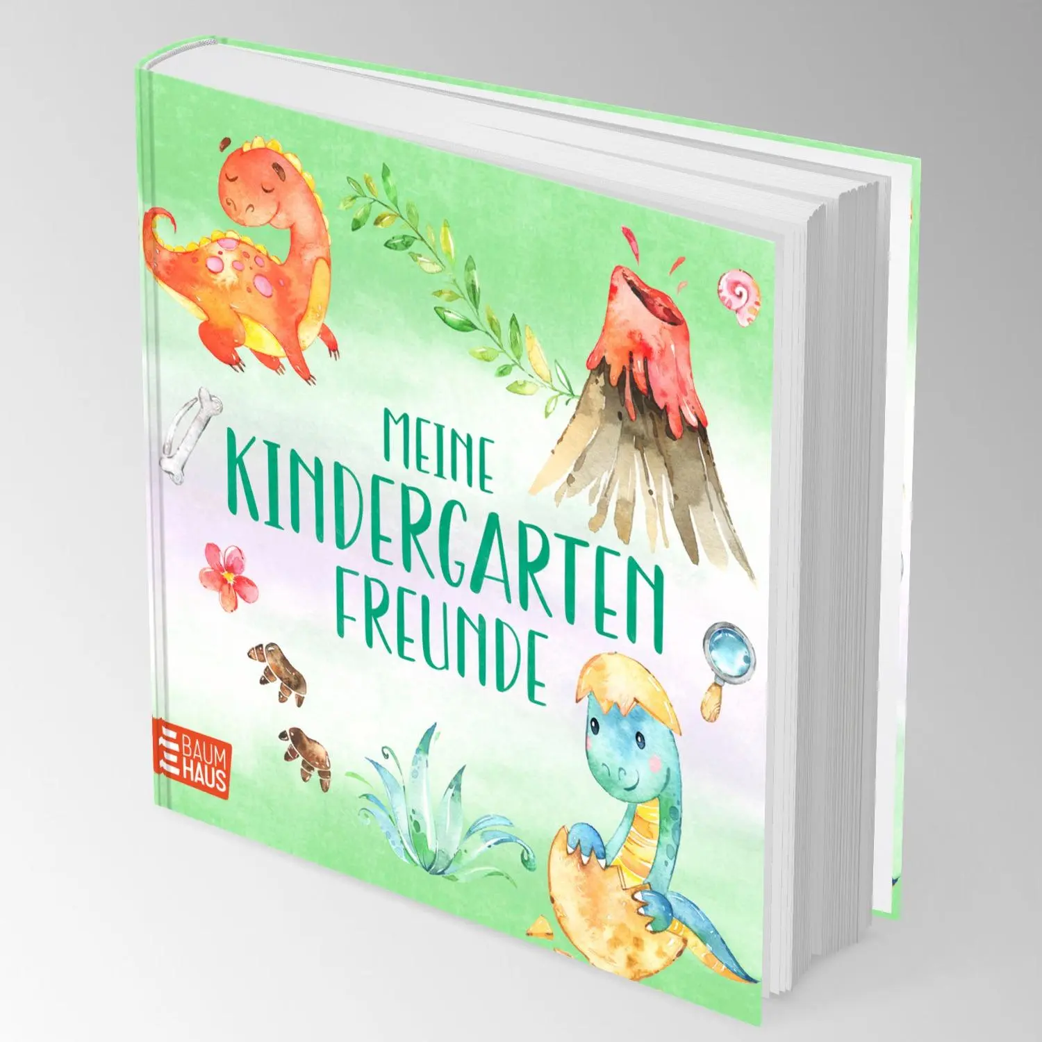 Bild: 9783833909986 | Meine Kindergartenfreunde - Dinosaurier | Buch | 64 S. | Deutsch