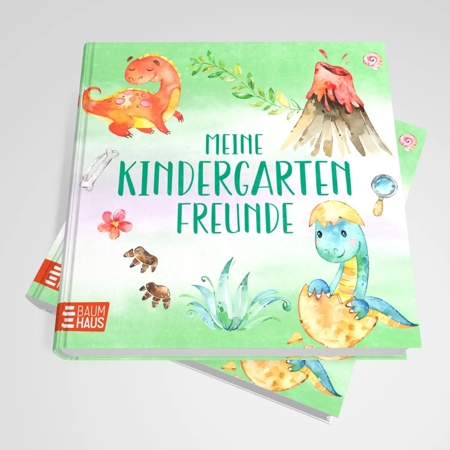 Bild: 9783833909986 | Meine Kindergartenfreunde - Dinosaurier | Buch | 64 S. | Deutsch