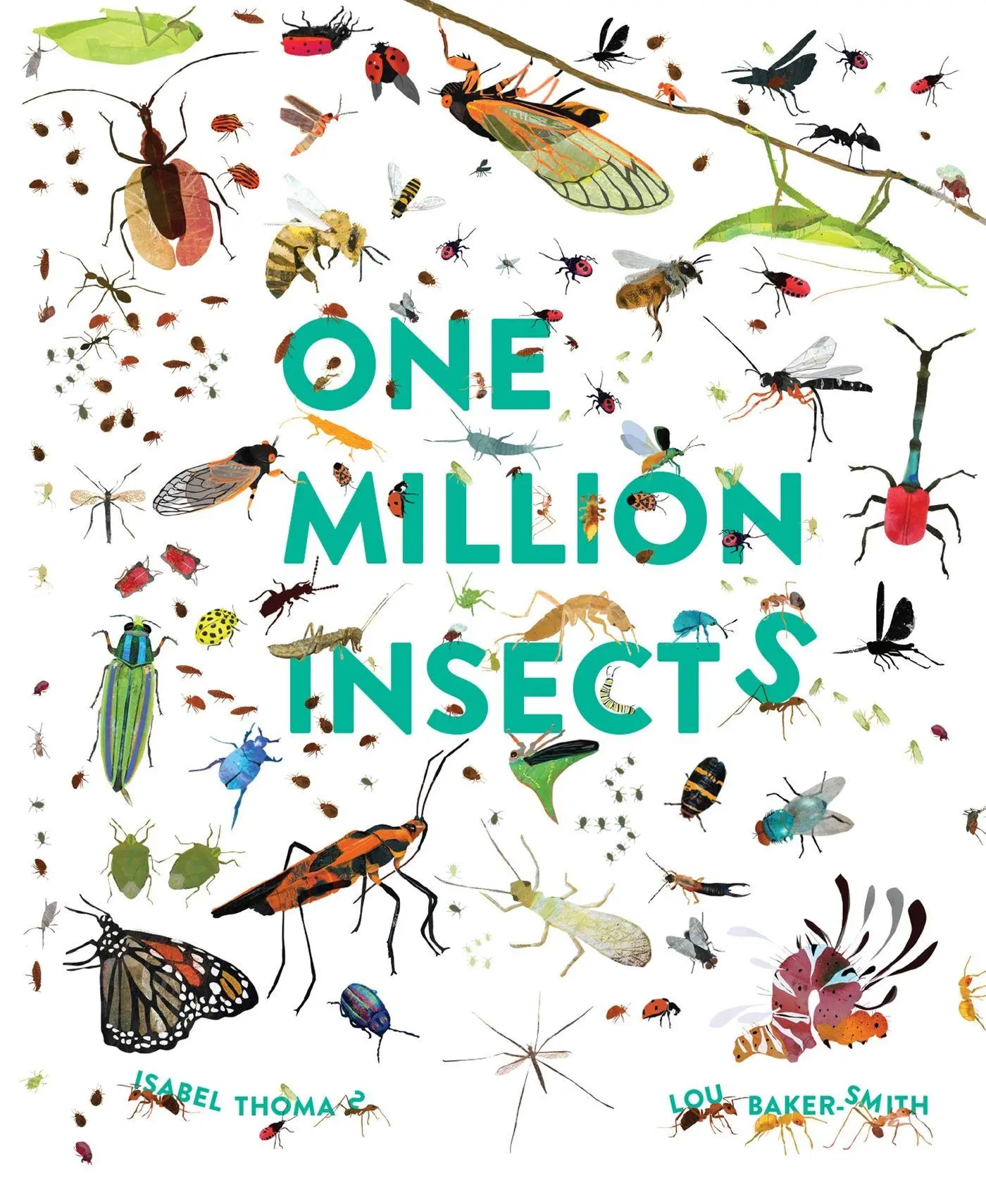 Cover: 9781803380087 | One Million Insects | Isabel Thomas | Taschenbuch | Englisch | 2022