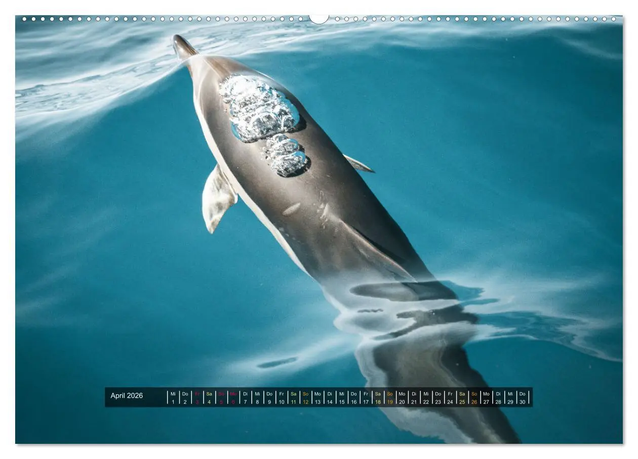 Bild: 9783457440087 | Madeira - Paradies im Atlantik (hochwertiger Premium Wandkalender...