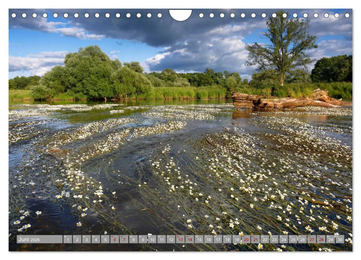 Bild: 9783457750087 | Zwickau und das Tal der Mulde (Wandkalender 2026 DIN A4 quer),...