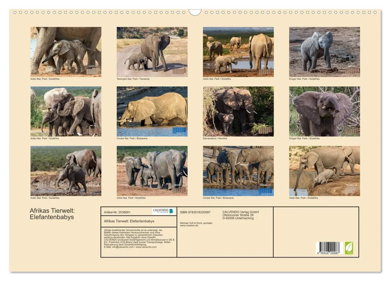 Bild: 9783516220087 | Afrikas Tierwelt: Elefantenbabys (Wandkalender 2026 DIN A2 quer),...