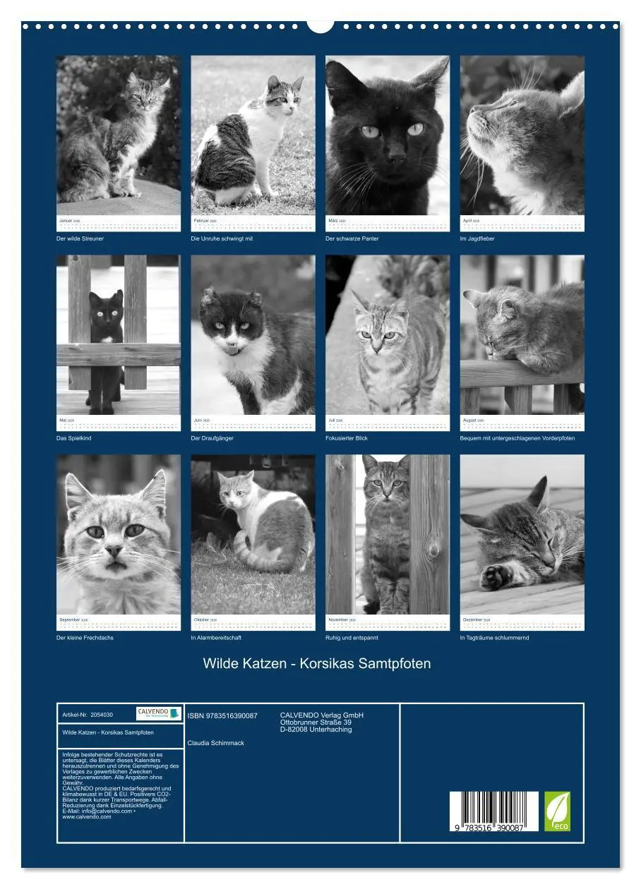 Bild: 9783516390087 | Wilde Katzen - Korsikas Samtpfoten (hochwertiger Premium...