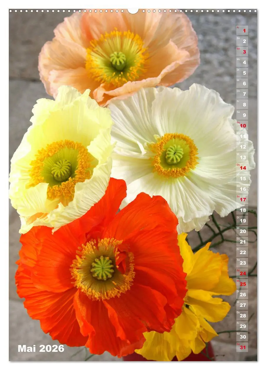 Bild: 9783516380187 | Mohn - Ein Blütentraum (Wandkalender 2026 DIN A2 hoch), CALVENDO...