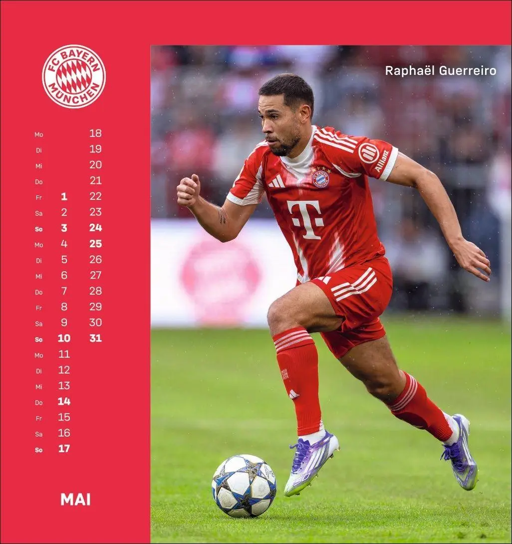 Bild: 9783756410187 | FC Bayern München Postkartenkalender 2026 | Heye | Kalender | 13 S.