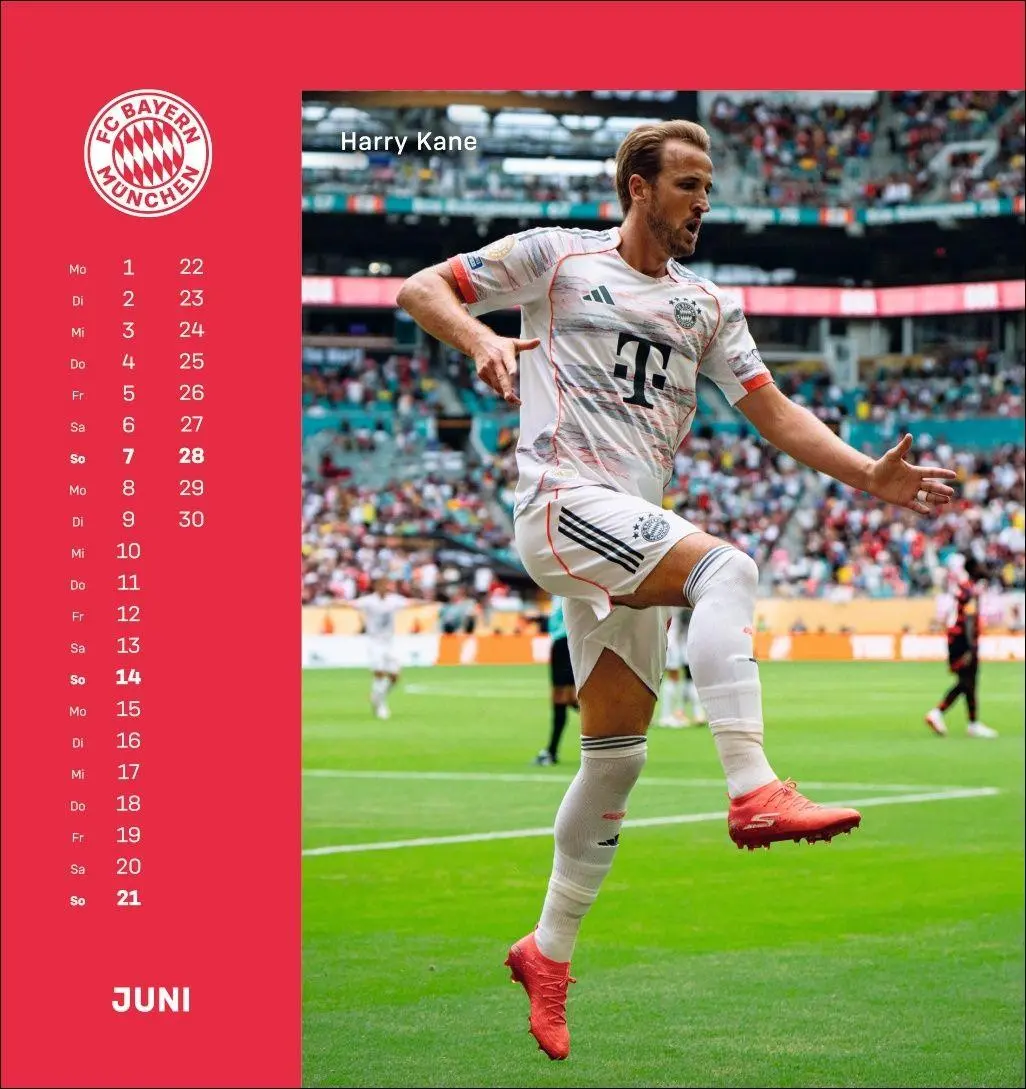 Bild: 9783756410187 | FC Bayern München Postkartenkalender 2026 | Heye | Kalender | 13 S.