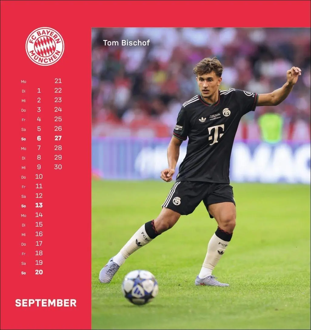 Bild: 9783756410187 | FC Bayern München Postkartenkalender 2026 | Heye | Kalender | 13 S.