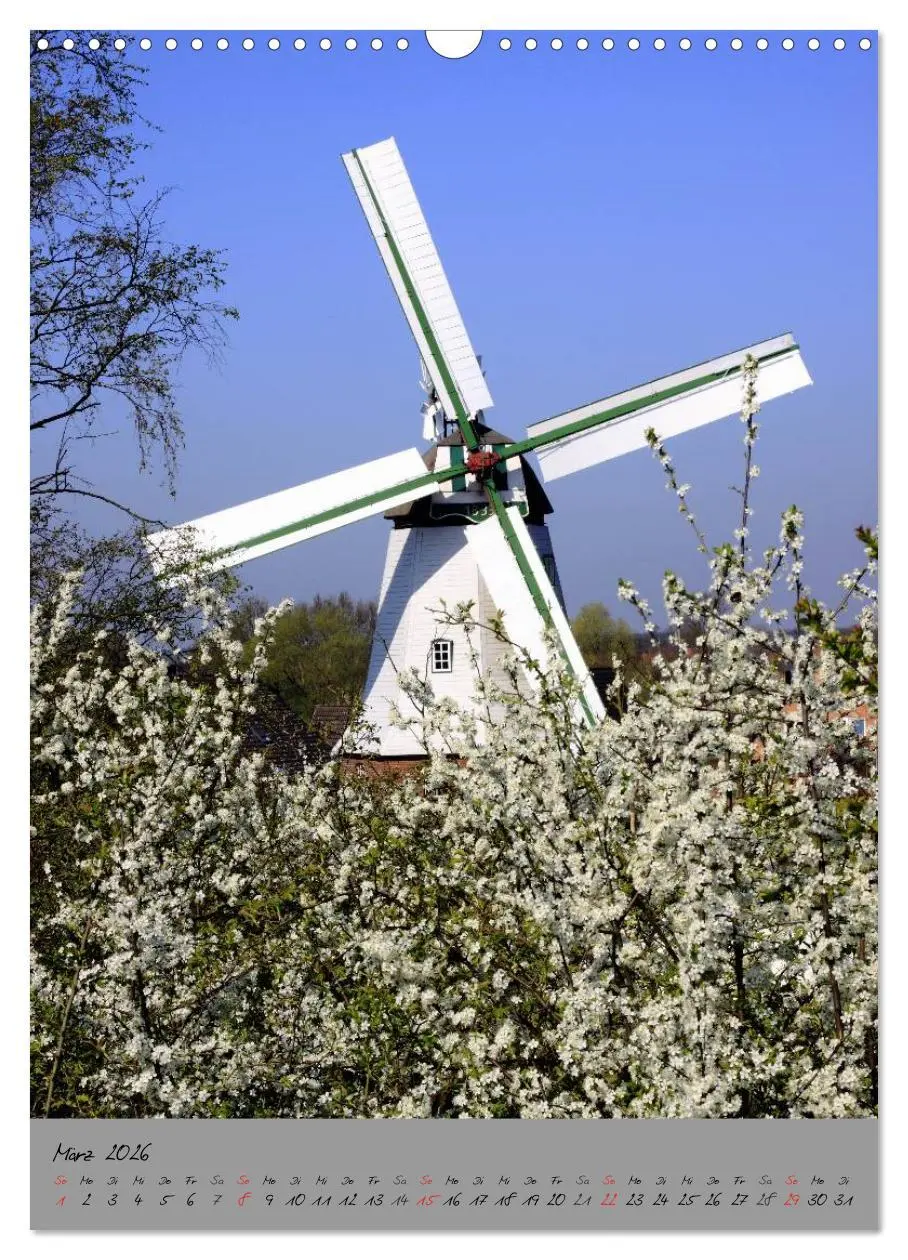 Bild: 9783516440287 | Windmühlen in Norddeutschland (Wandkalender 2026 DIN A3 hoch),...
