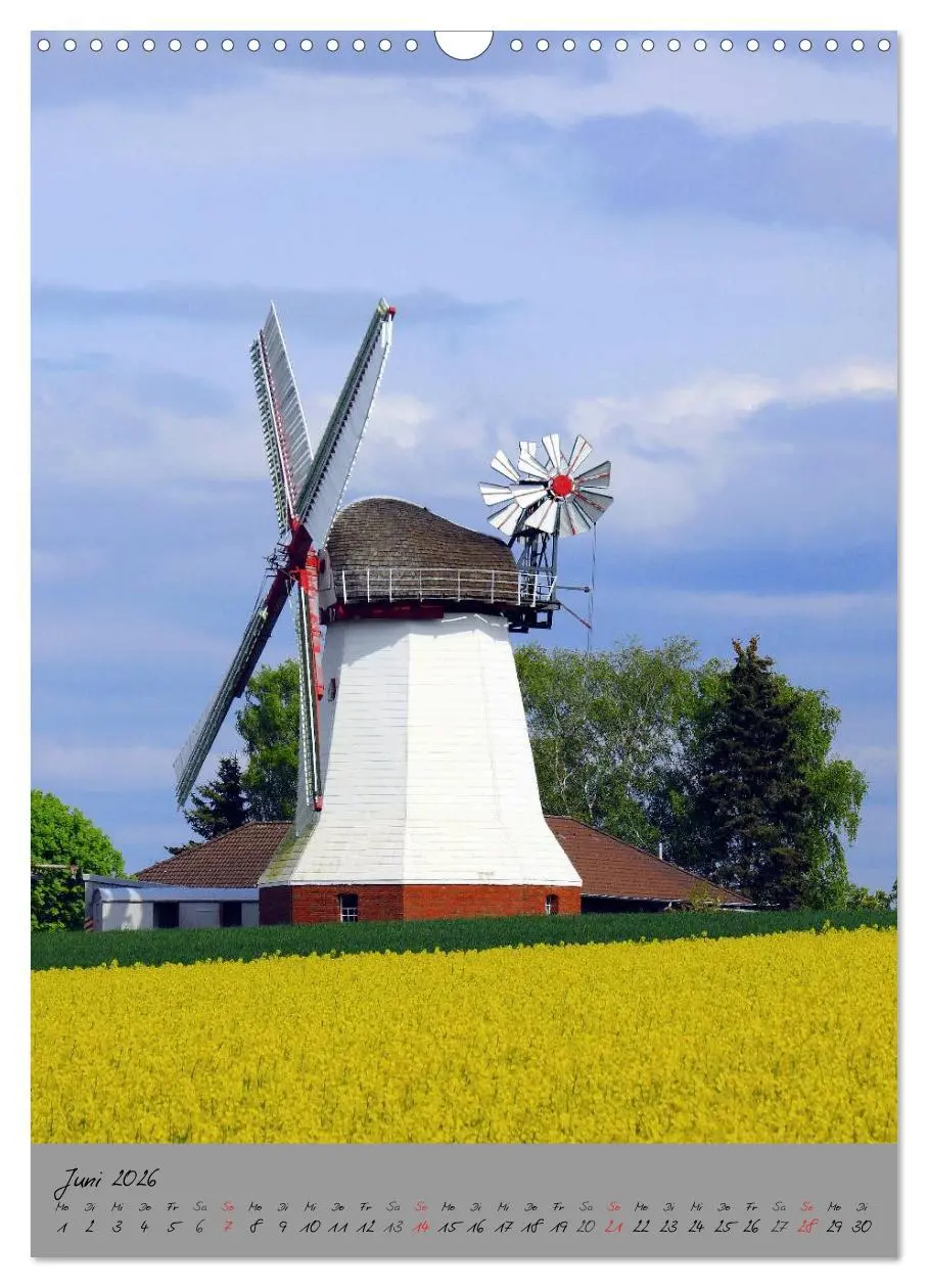 Bild: 9783516440287 | Windmühlen in Norddeutschland (Wandkalender 2026 DIN A3 hoch),...