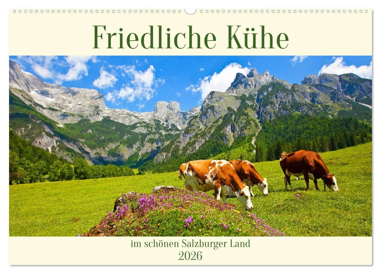 Cover: 9783457270387 | Friedliche Kühe (Wandkalender 2026 DIN A2 quer), CALVENDO...