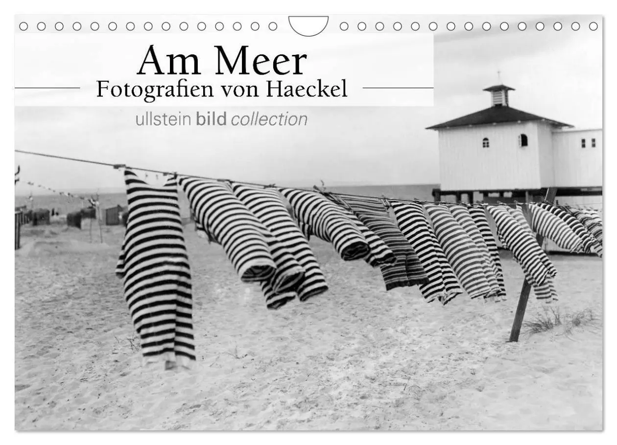 Cover: 9783516040487 | Am Meer - Fotografie von Haeckel (Wandkalender 2026 DIN A4 quer),...