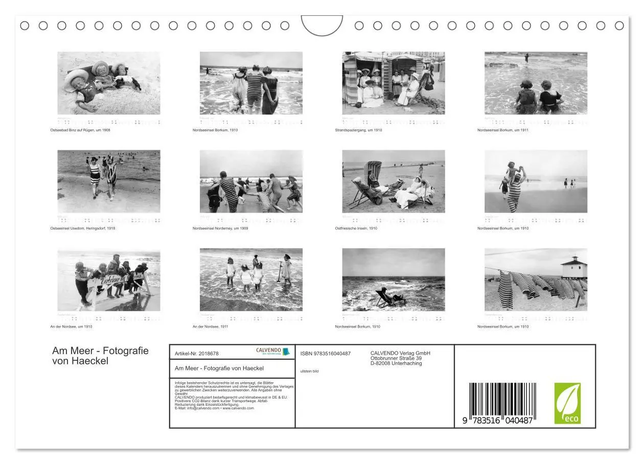 Bild: 9783516040487 | Am Meer - Fotografie von Haeckel (Wandkalender 2026 DIN A4 quer),...