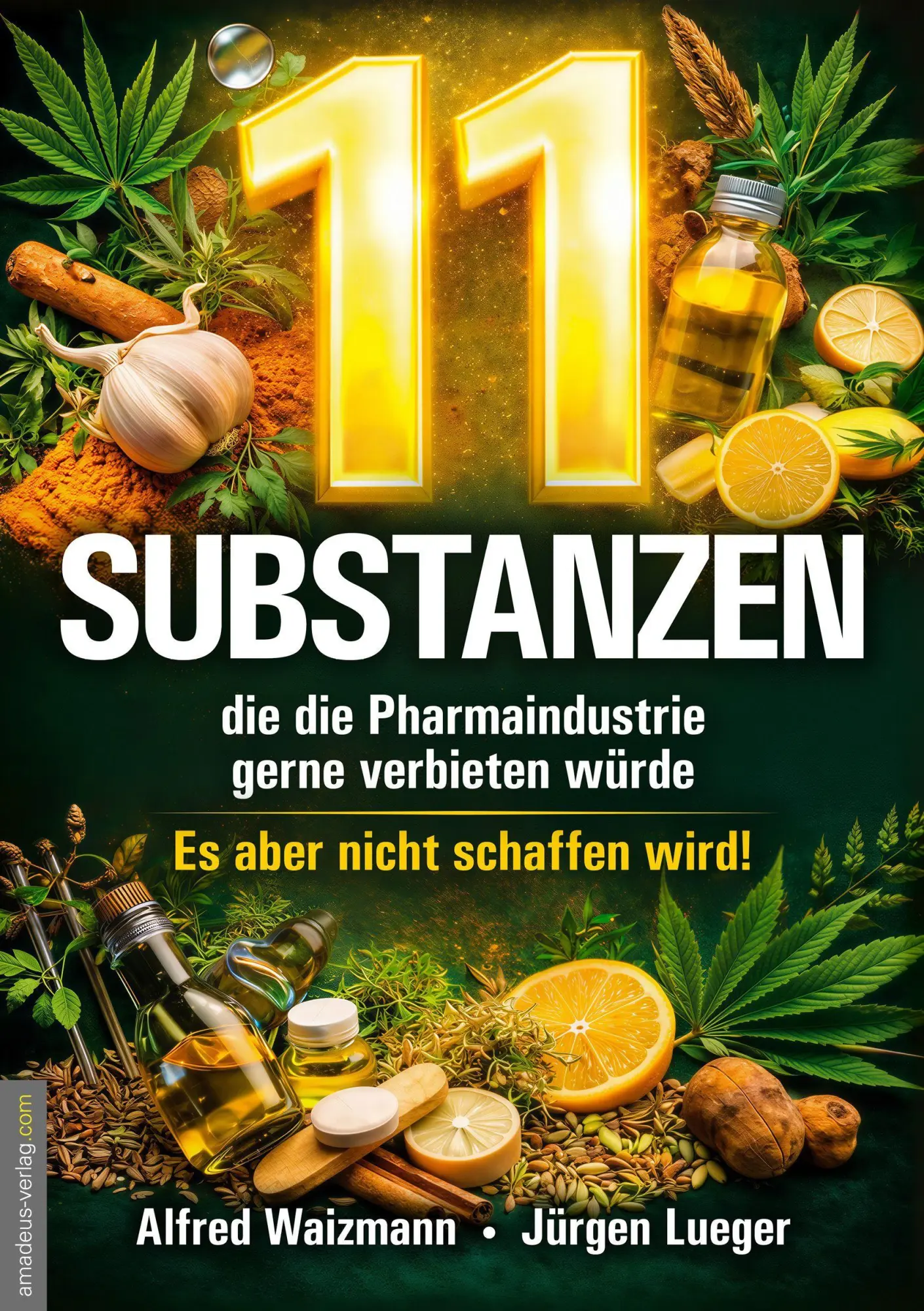 Cover: 9783985620487 | 11 Substanzen, die die Pharmaindustrie gerne verbieten würde | Buch