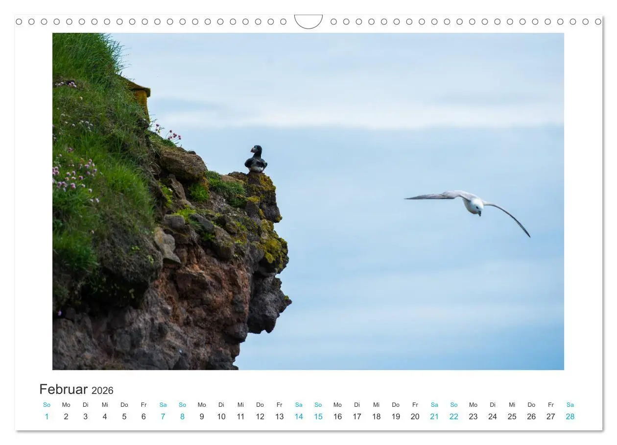 Bild: 9783457940587 | PAPAGEIENTAUCHER - Clowns der Nordmeere (Wandkalender 2026 DIN A3...