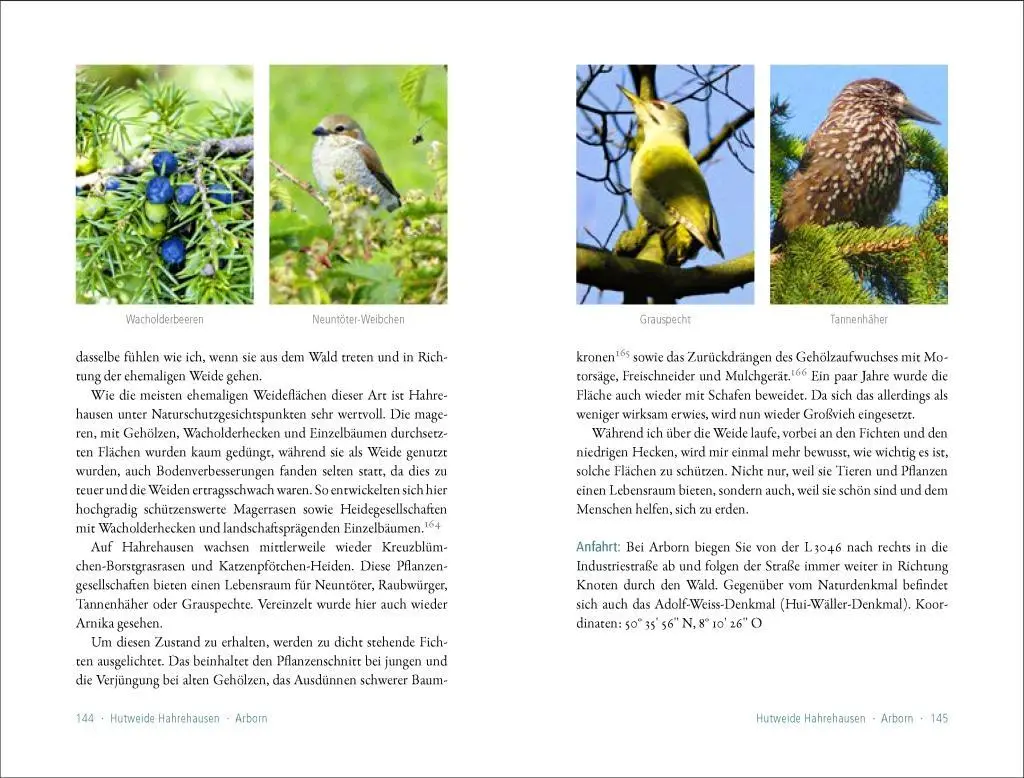 Bild: 9783957990587 | 50 sagenhafte Naturdenkmale in Hessen | Martina D'Ascola | Taschenbuch