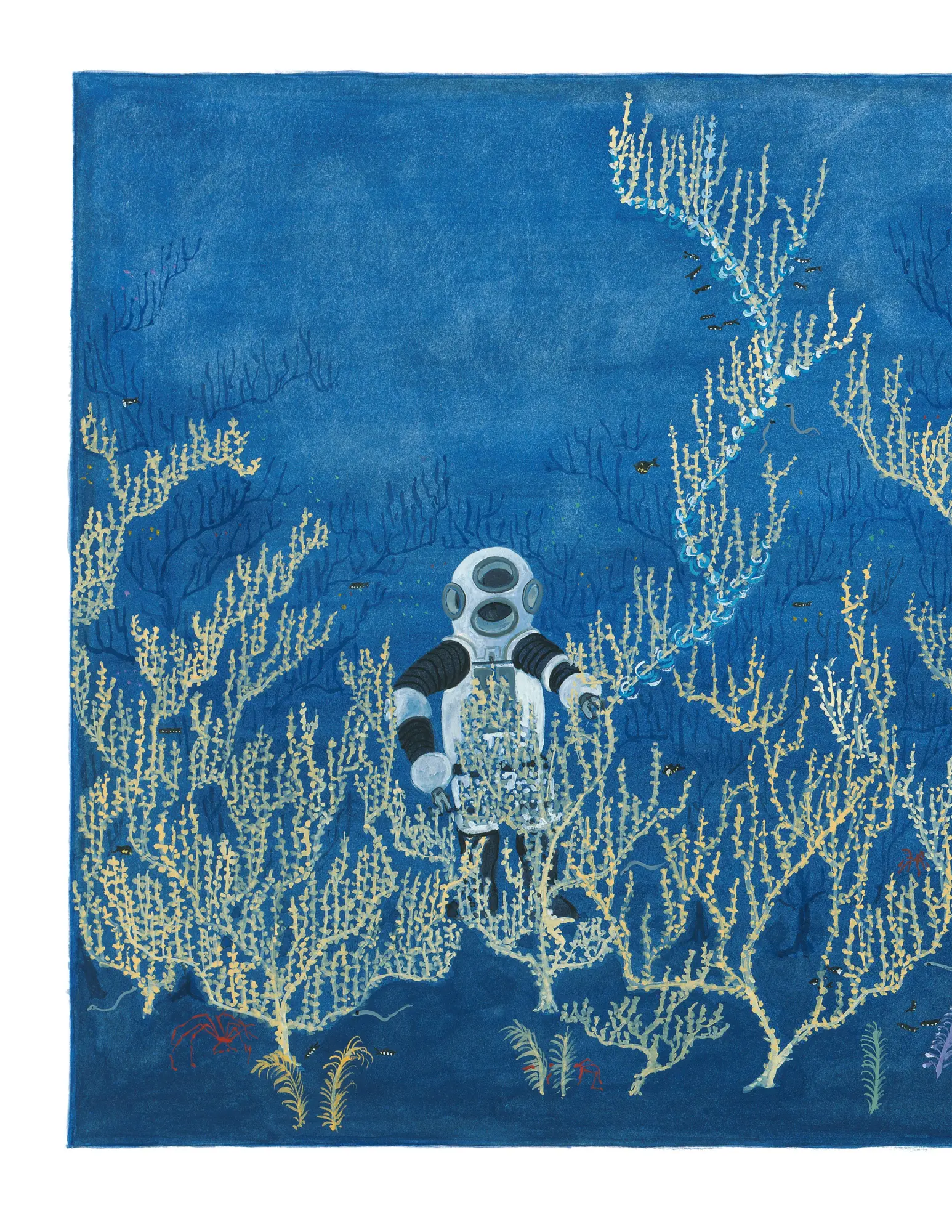 Bild: 9780374380687 | Life in the Ocean | The Story of Oceanographer Sylvia Earle | Nivola