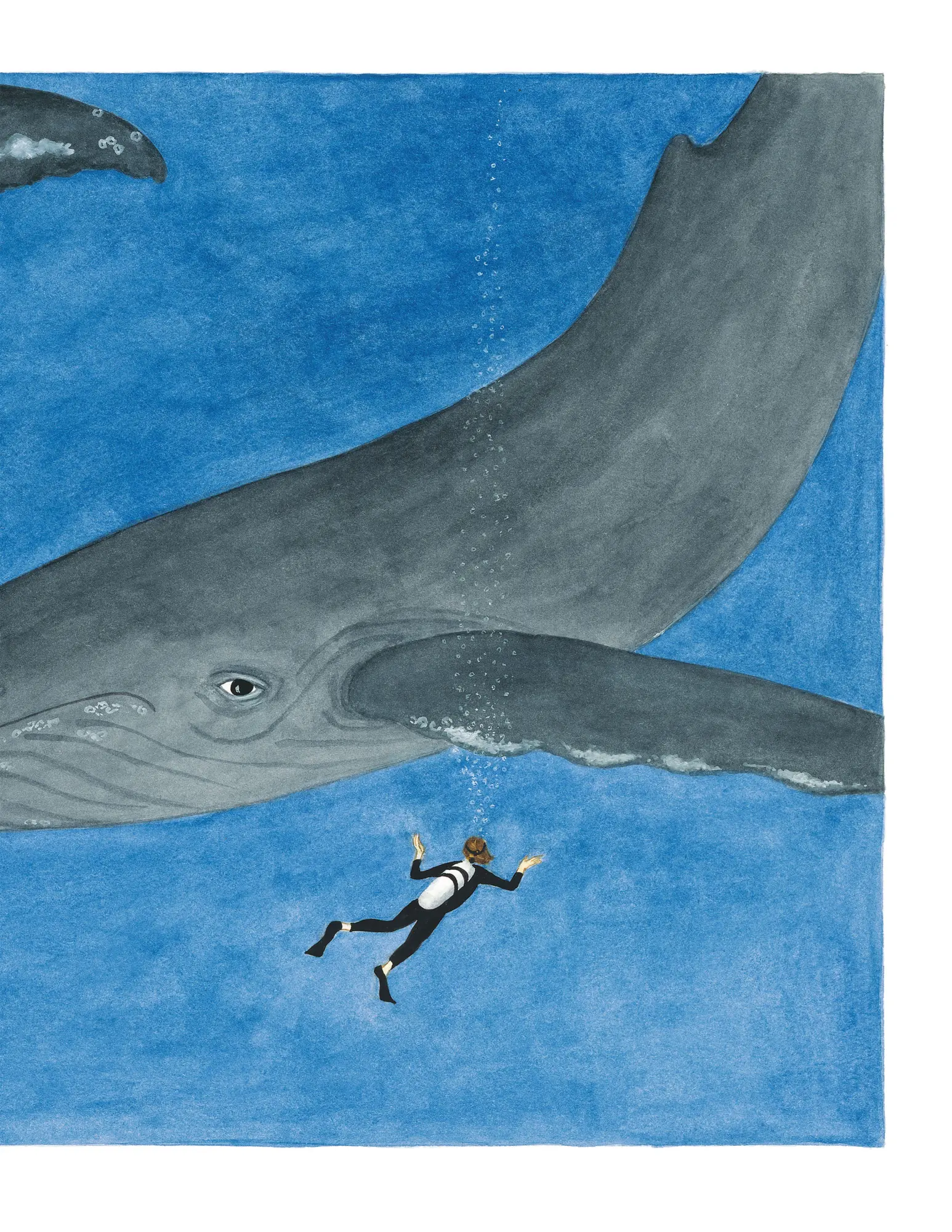 Bild: 9780374380687 | Life in the Ocean | The Story of Oceanographer Sylvia Earle | Nivola