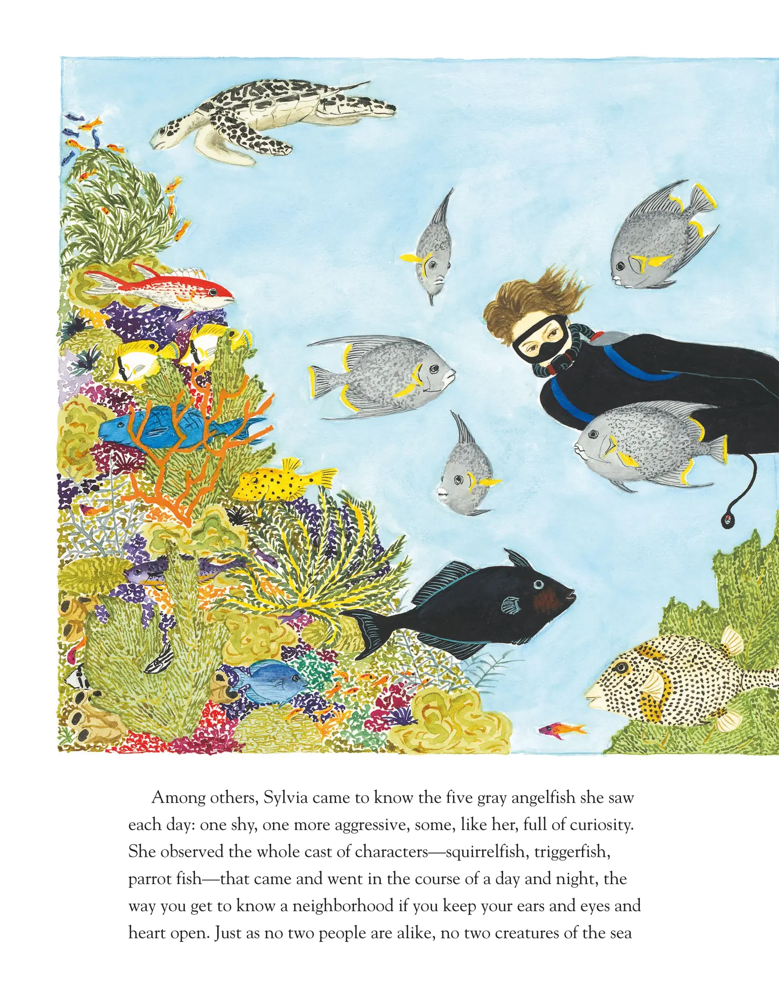 Bild: 9780374380687 | Life in the Ocean | The Story of Oceanographer Sylvia Earle | Nivola