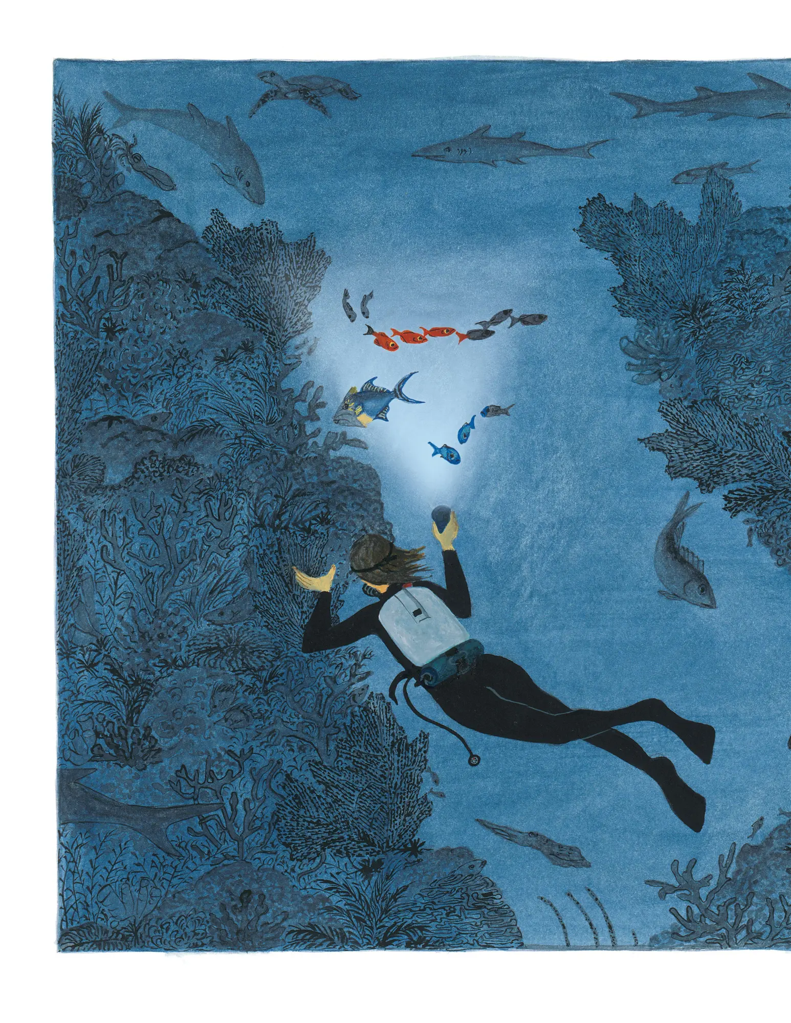 Bild: 9780374380687 | Life in the Ocean | The Story of Oceanographer Sylvia Earle | Nivola