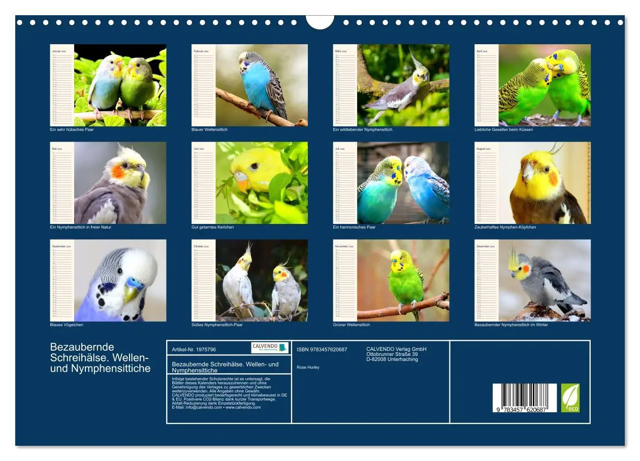 Bild: 9783457620687 | Bezaubernde Schreihälse. Wellen- und Nymphensittiche (Wandkalender...