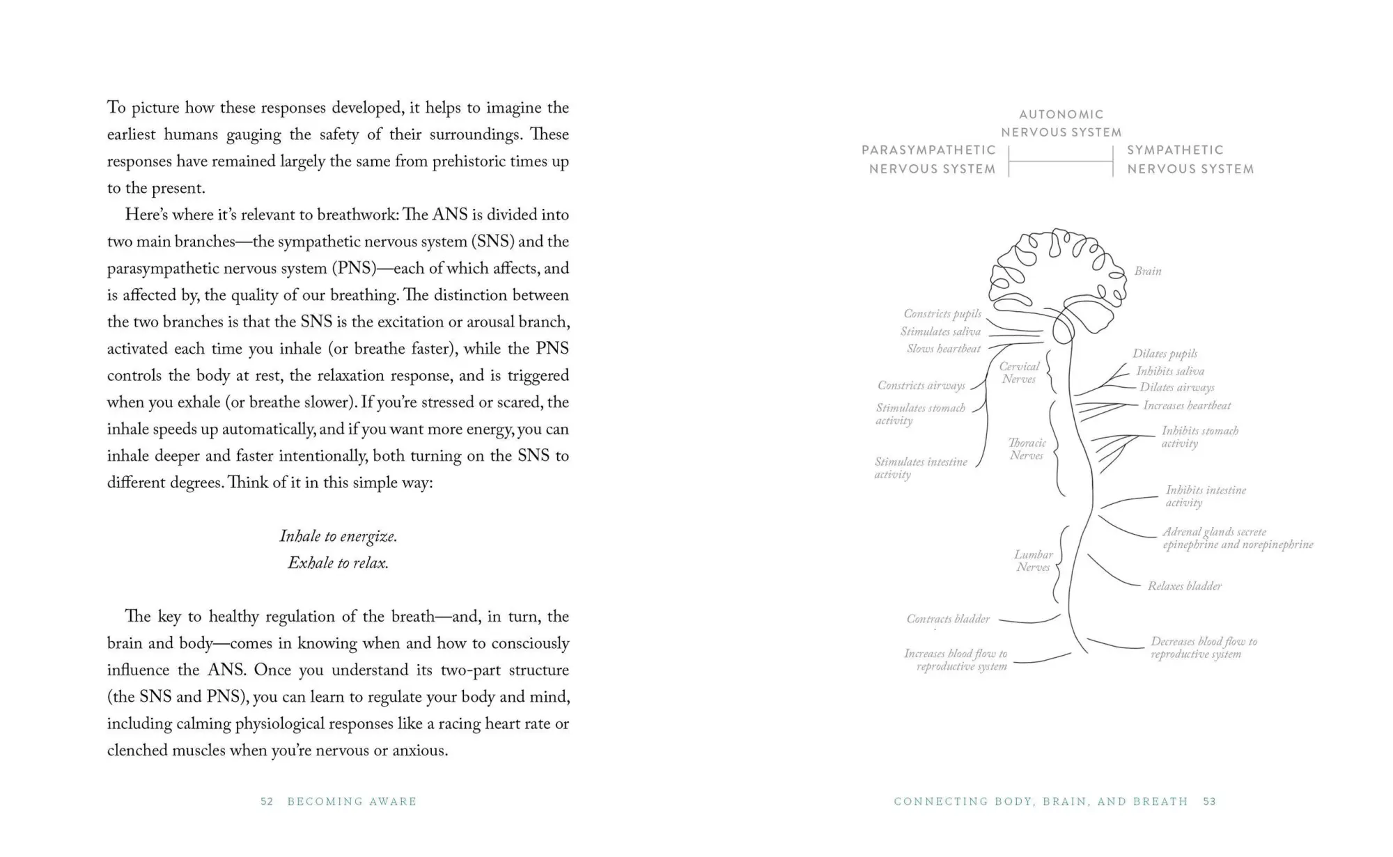Bild: 9781648290787 | The Breathwork Companion | Unlock the Healing Power of Breathing
