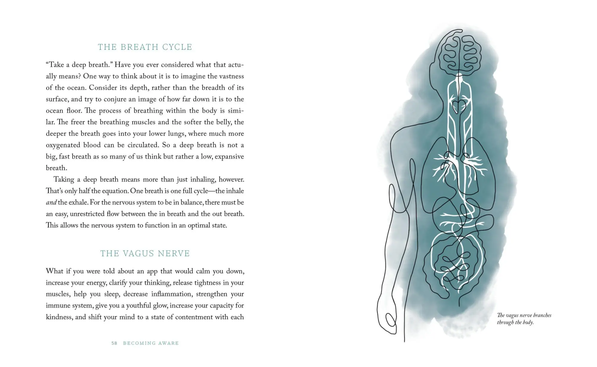 Bild: 9781648290787 | The Breathwork Companion | Unlock the Healing Power of Breathing