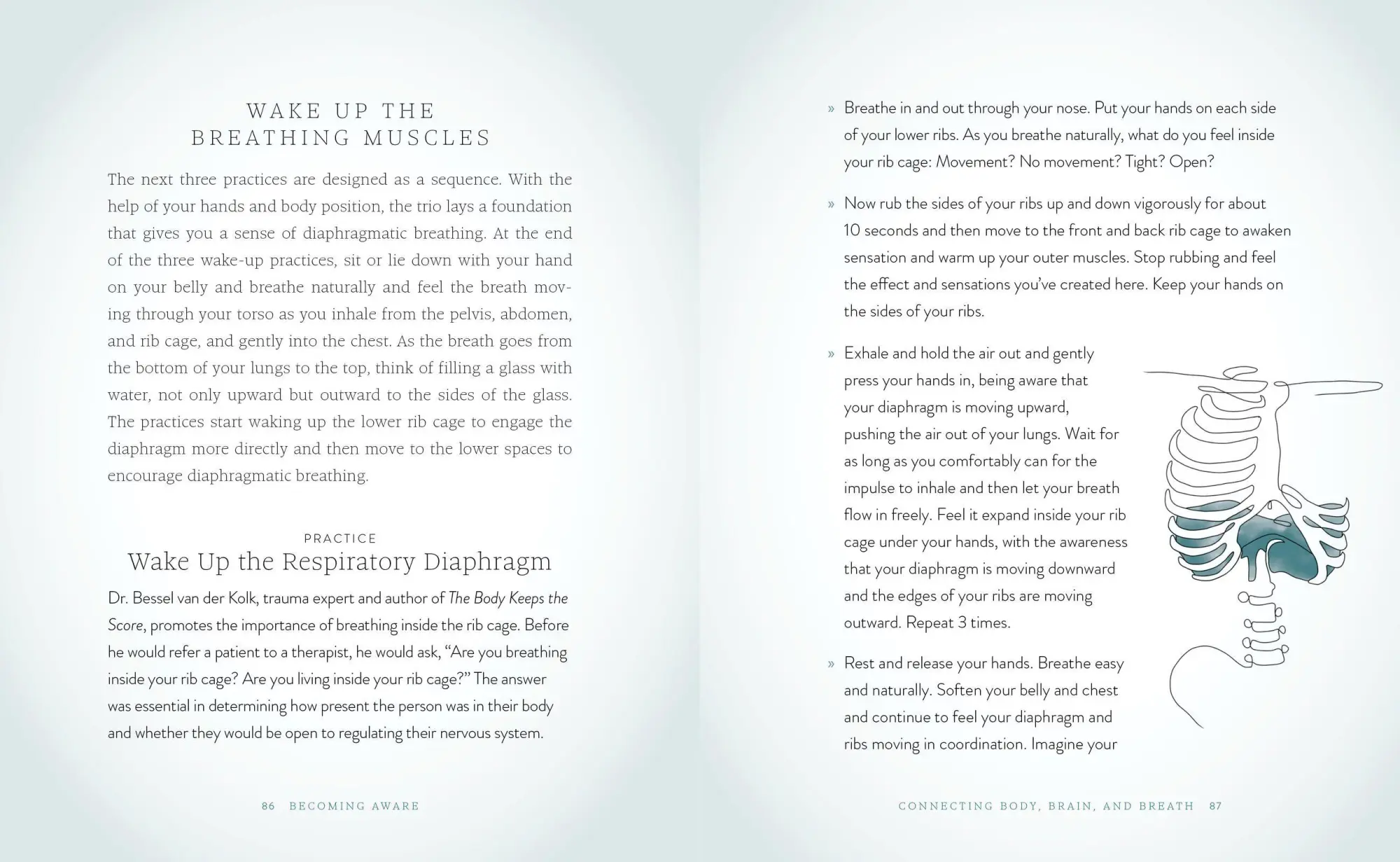 Bild: 9781648290787 | The Breathwork Companion | Unlock the Healing Power of Breathing