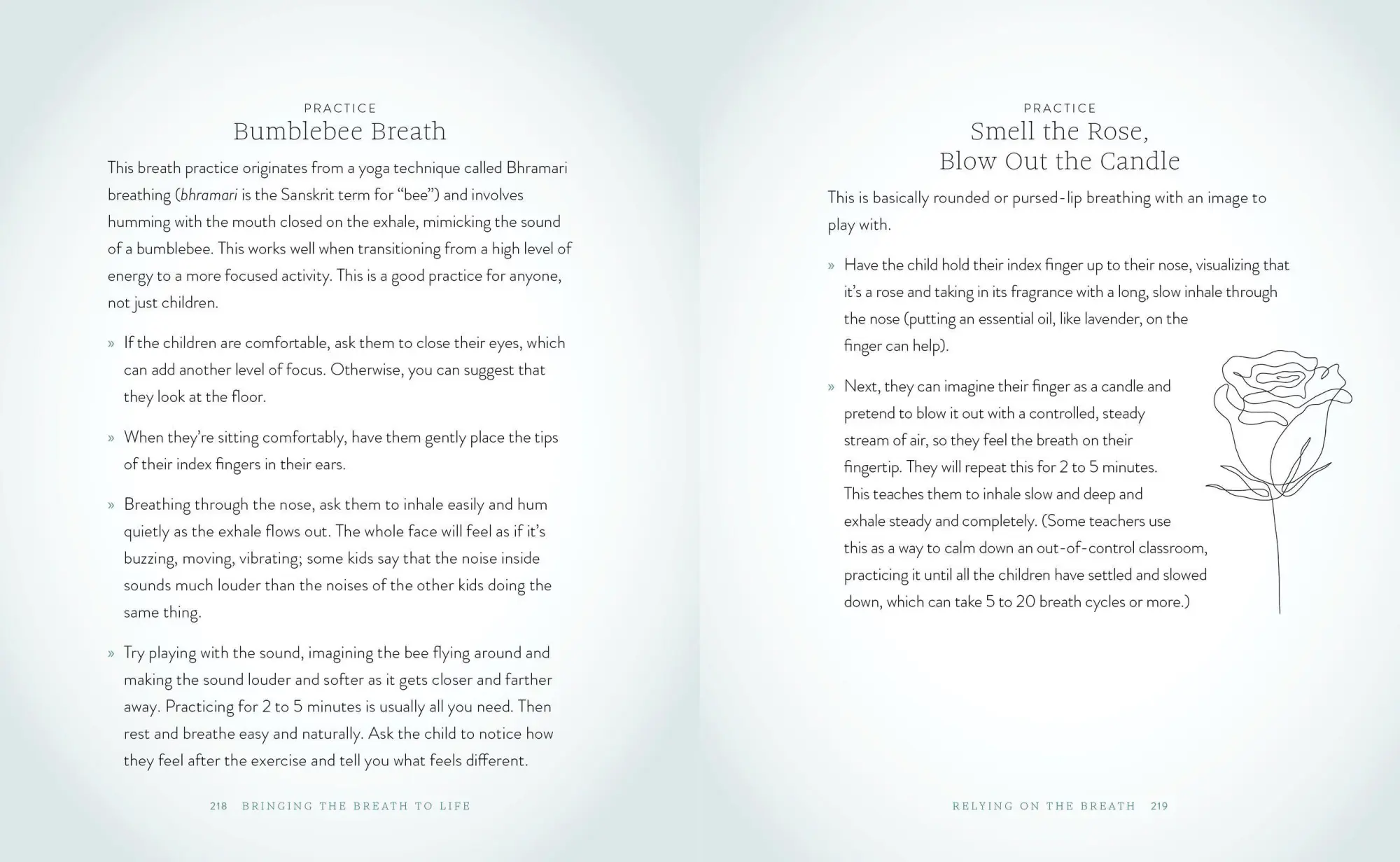 Bild: 9781648290787 | The Breathwork Companion | Unlock the Healing Power of Breathing