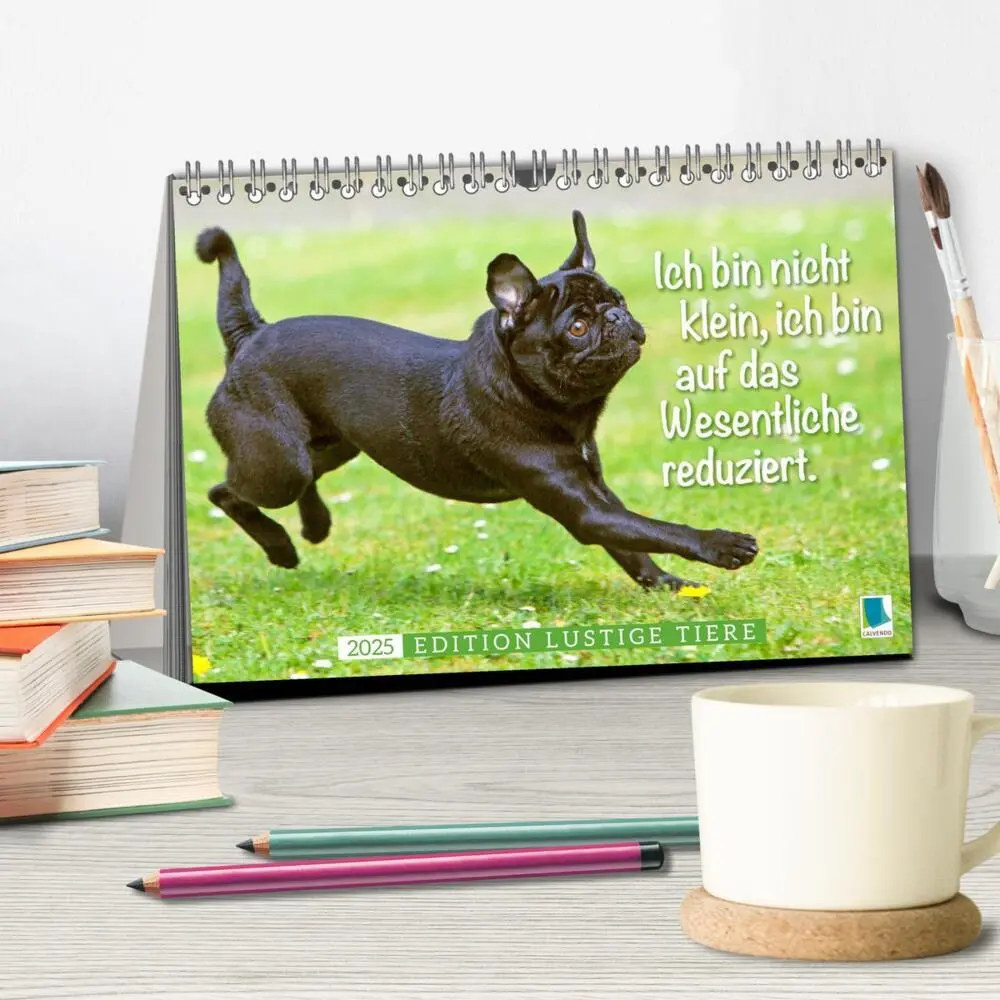 Bild: 9783435070787 | Der Mops: Nicht klein, sondern aufs Wesentliche reduziert. Edition...