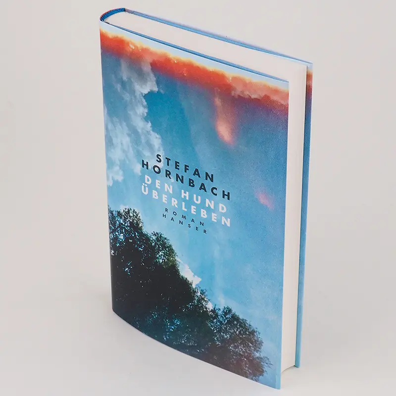 Bild: 9783446270787 | Den Hund überleben | Roman | Stefan Hornbach | Buch | 288 S. | Deutsch