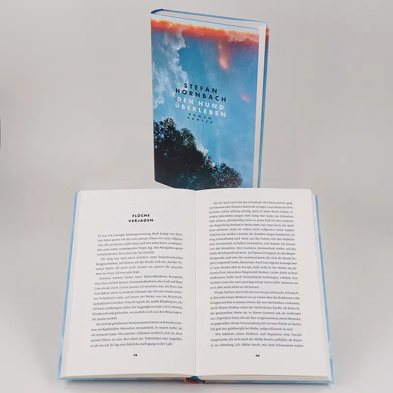 Bild: 9783446270787 | Den Hund überleben | Roman | Stefan Hornbach | Buch | 288 S. | Deutsch