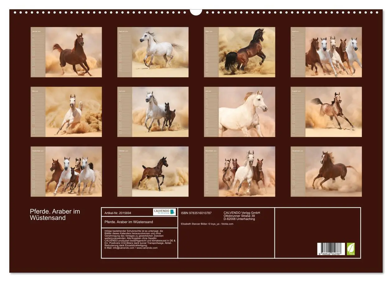 Bild: 9783516010787 | Pferde. Araber im Wüstensand (Wandkalender 2026 DIN A2 quer),...