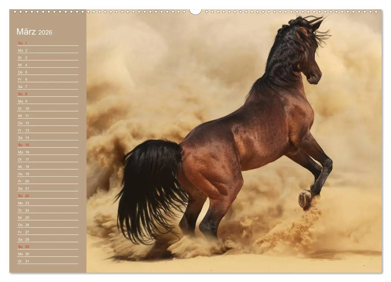 Bild: 9783516010787 | Pferde. Araber im Wüstensand (Wandkalender 2026 DIN A2 quer),...