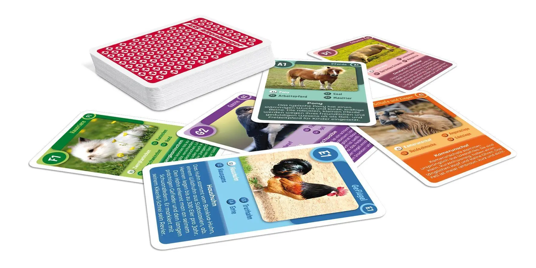 Bild: 4042677720887 | Tier-Quartett - Bauernhof Tiere | Spielkartenfabrik Altenburg GmbH