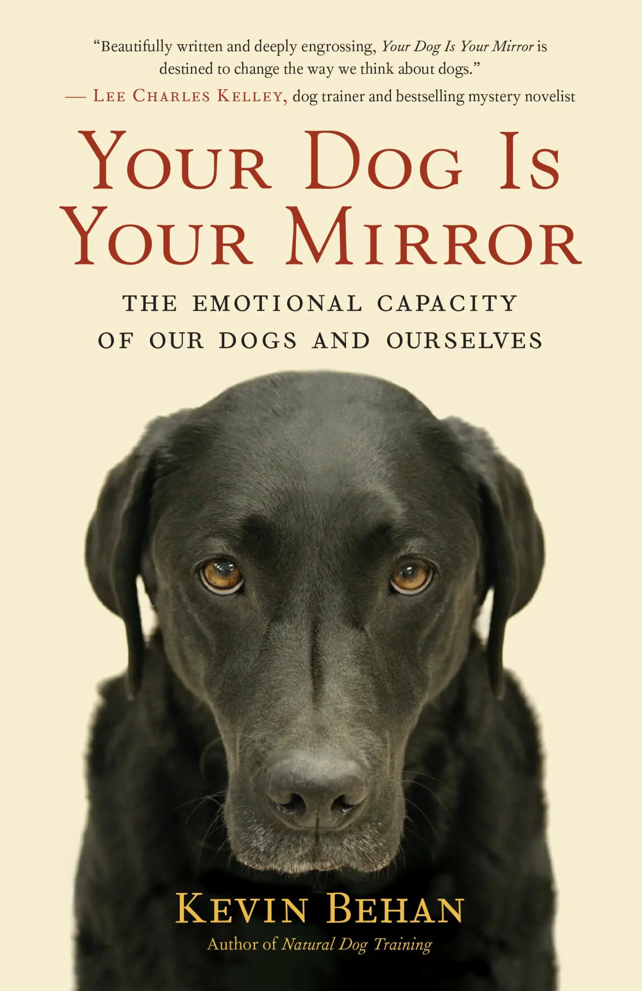 New World Library Your Dog Is Your Mirror