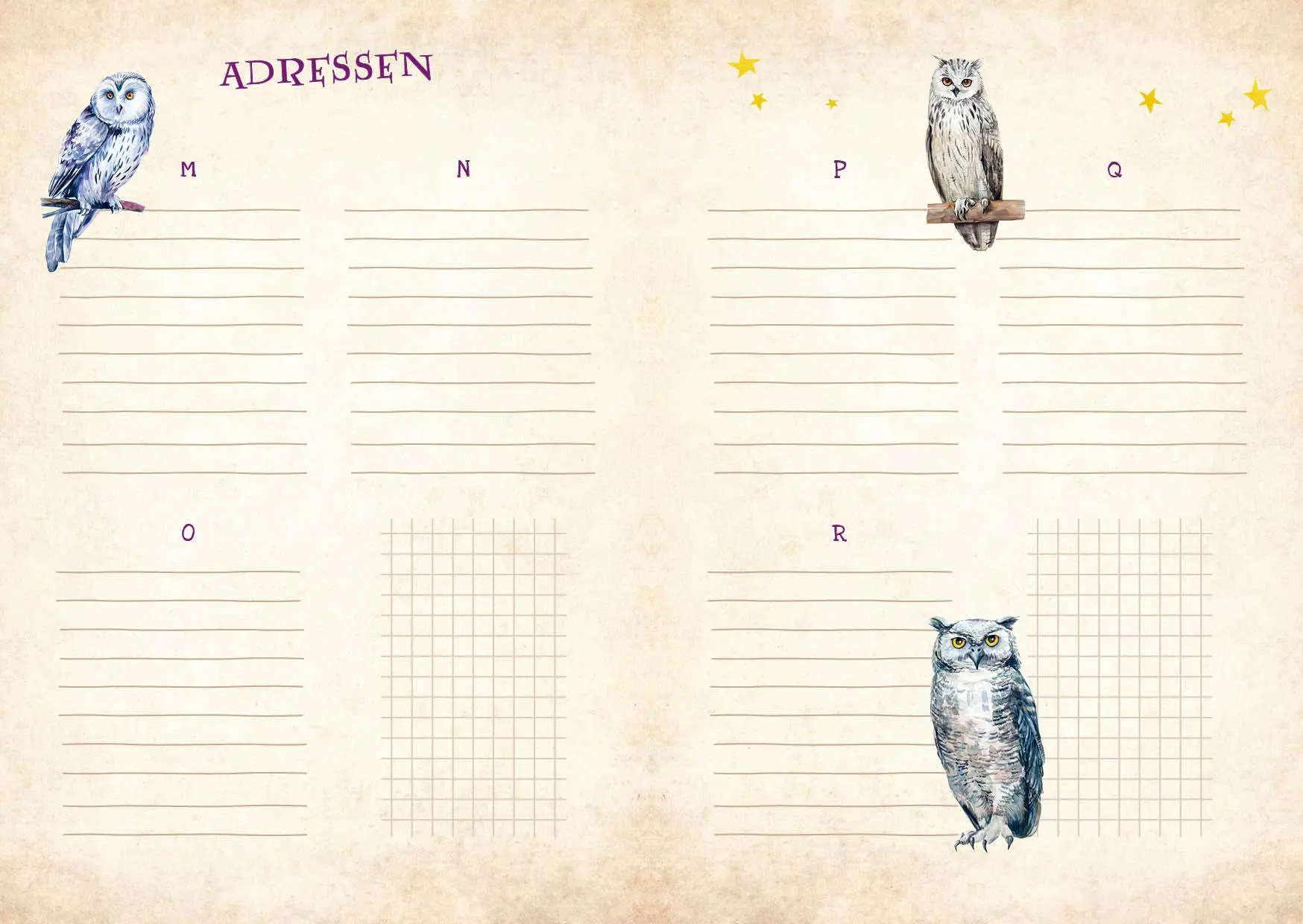 Bild: 9783745920987 | Mein Schülerkalender für Harry Potter-Fans! 2024/2025 | Buch | Deutsch