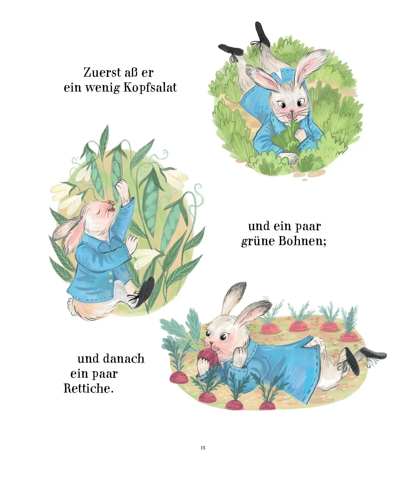 Bild: 9783963720987 | Die Geschichte von Peter Hase | Beatrix Potter | Buch | 44 S. | 2025
