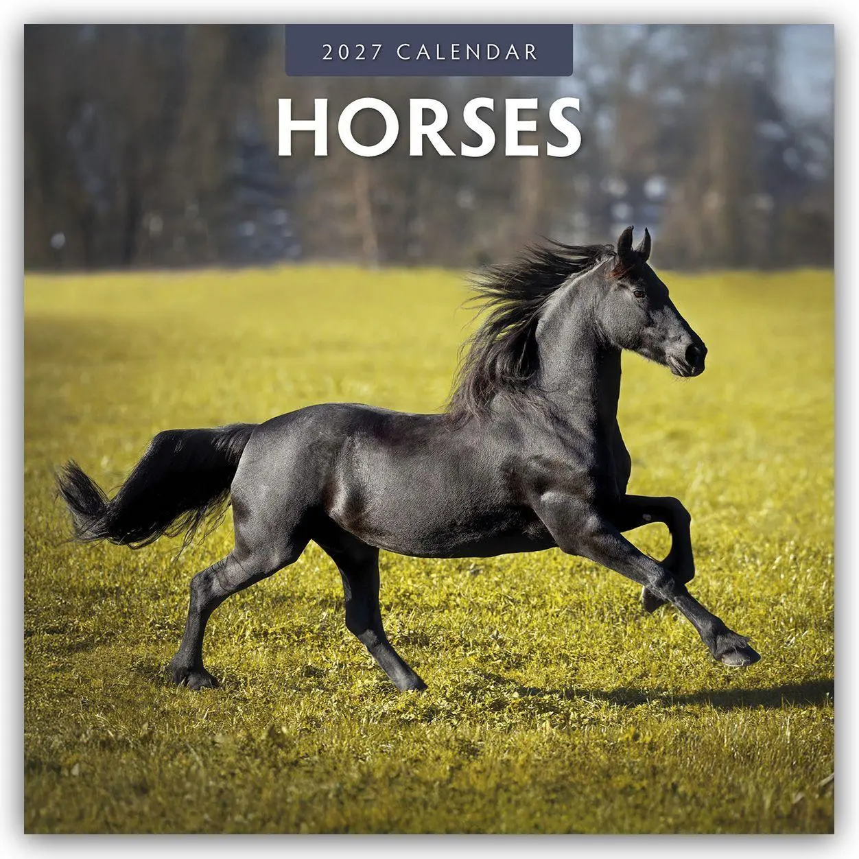Cover: 9781837011087 | Horses - Pferde 2027 - 16-Monatskalender | Robin Red | Kalender | 2027